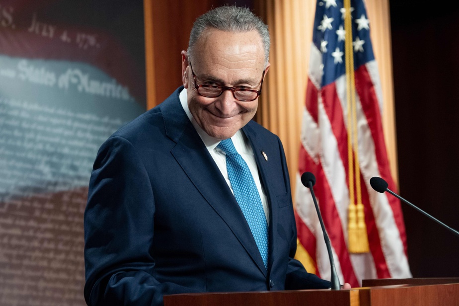   The Democratic majority in the Senate  Baptism by fire by Chuck Schumer


