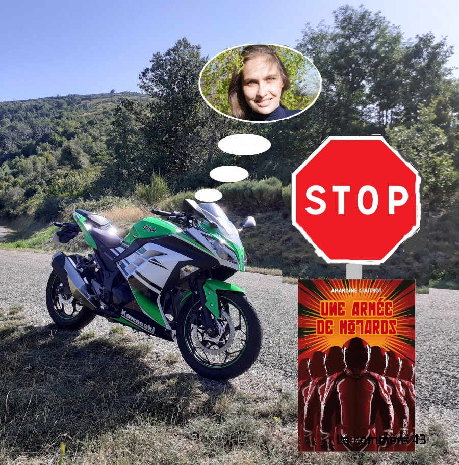 Publication: An Army of Bikers is a thrilling science fiction novel by Amandin Kotrot

