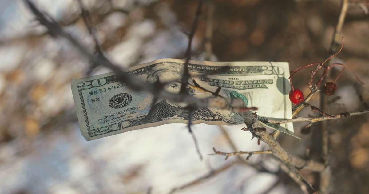   Does money bring happiness?  Science has discovered this question that worries us a lot

