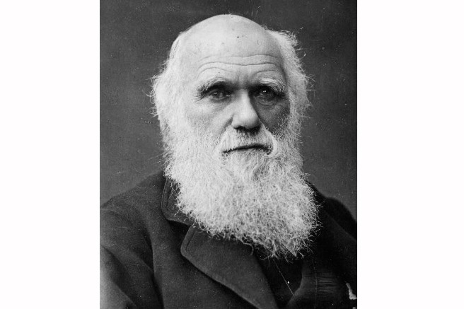 Darwin's bicentennial: The Vatican asks about 