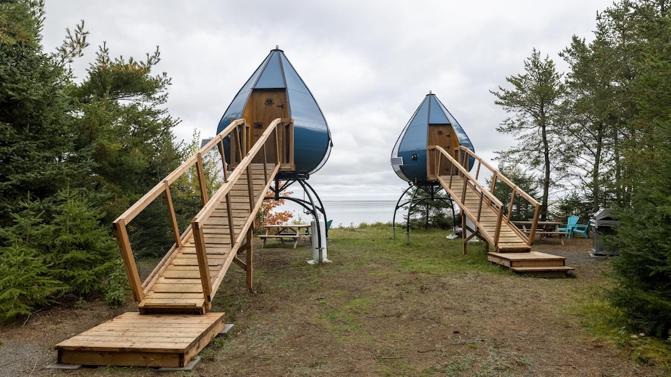 The teardrop-shaped dwellings are connected to the ground by a footbridge. 