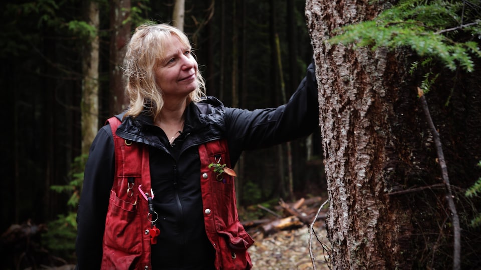Susan Simard in a forest.