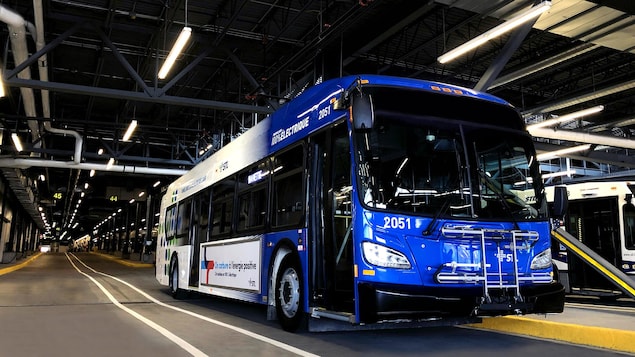 STL electric buses will be in service this summer


