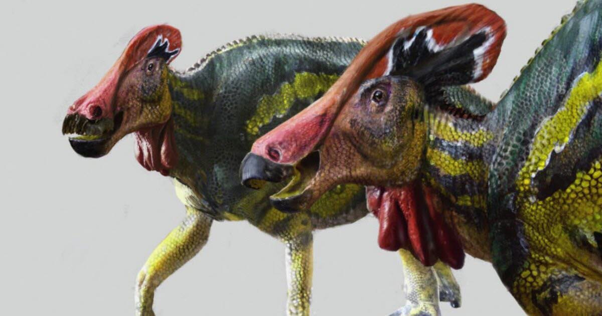   Sciences.  A new peaceful dinosaur has been identified: Tlatolophus galorum

