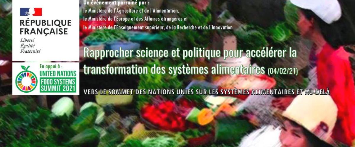Combining science and policy to accelerate the transformation of food systems