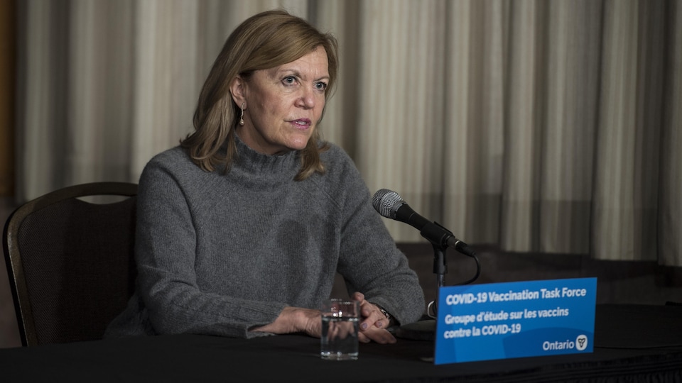 Ontario Health Minister Christine Elliott at a press conference.