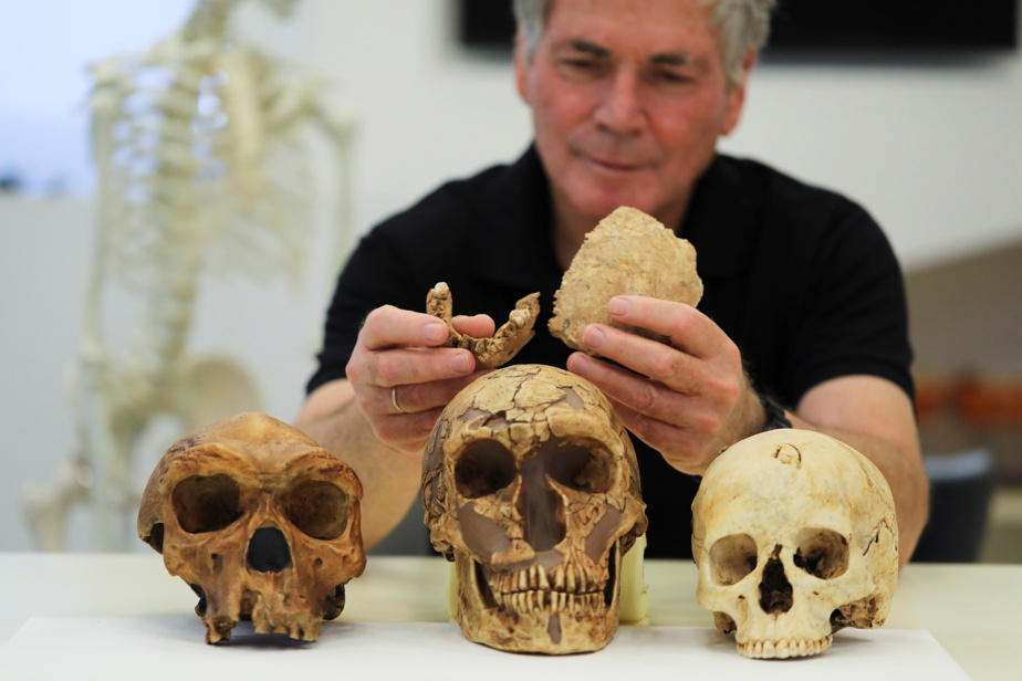 Discover a Neanderthal uncle in Israel

