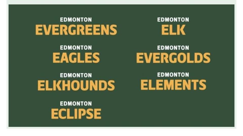 A list of the seven selected names, Evergreens, Eagles, Elkhounds, Eclipse, Elk, Evergolds and Elements. 