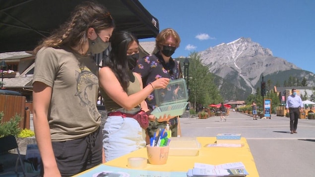 Six restaurants serving reusable containers in Banff this summer

