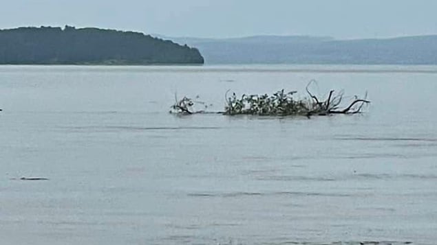 Lake Témiscamingue Rise: Elected Officials Dissatisfied

