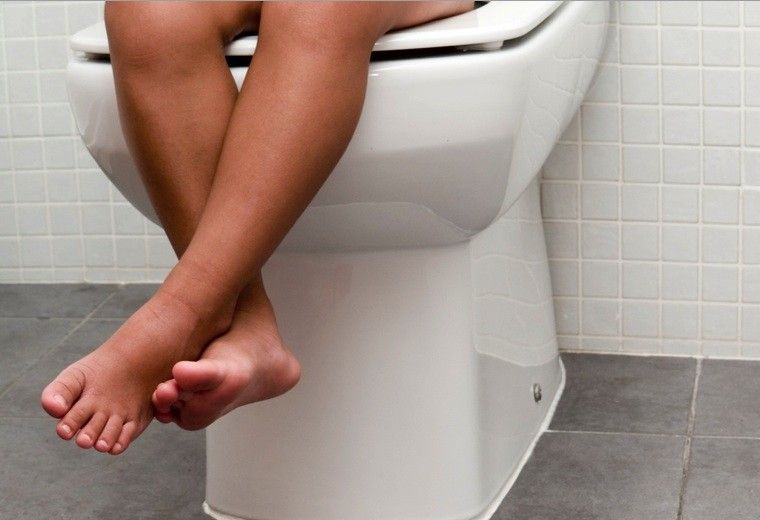   54,000 types of viruses in our feces |  science |  news |  the sun

