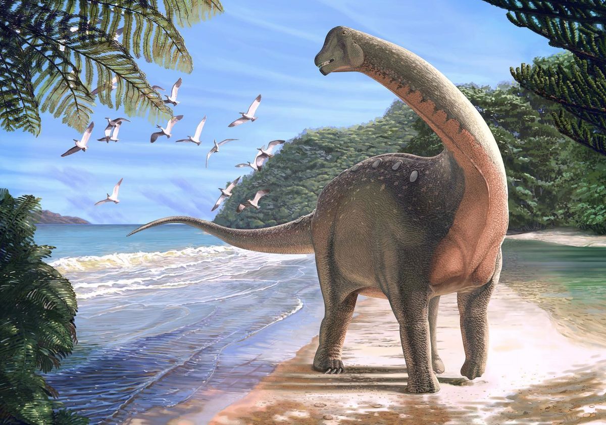   Dinosaurs were victims of the cold wave before the coup of mercy |  science |  news |  the sun

