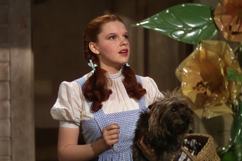   The Wizard of Oz |  Judy Garland's dress was found in a trash bag

