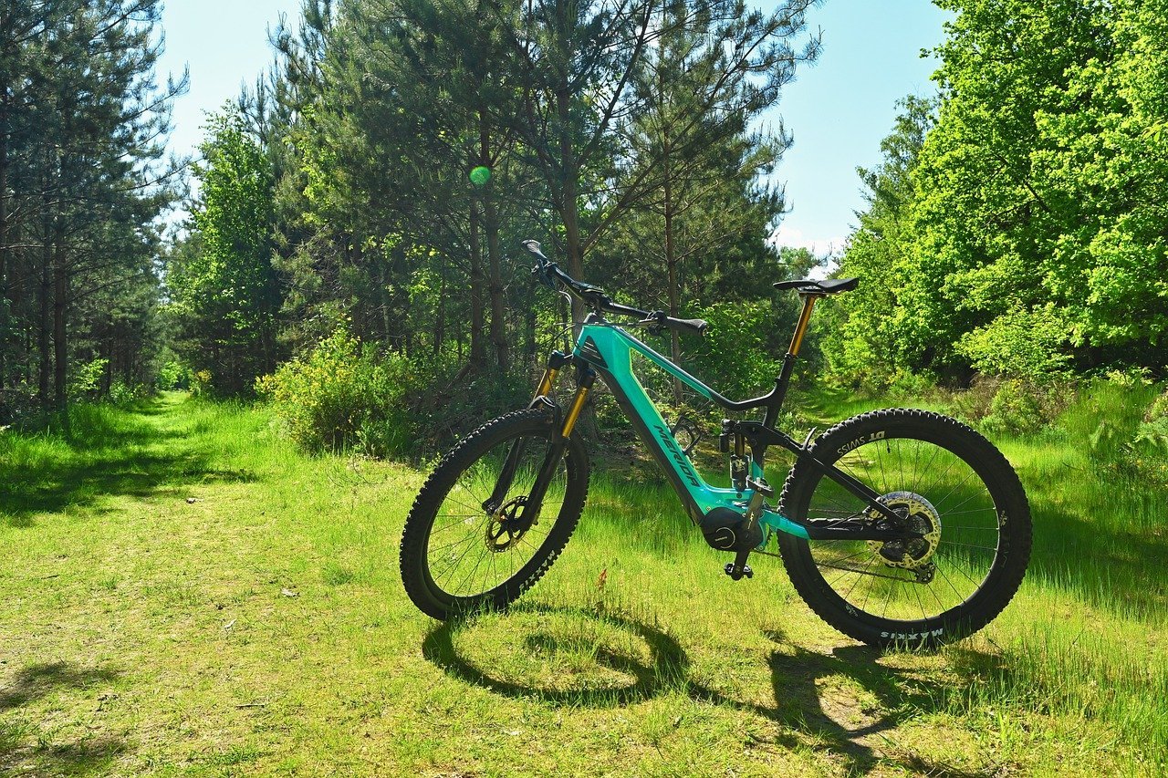 Electric mountain bikes: Tour +, a new mode developed by Bosch for rough terrain

