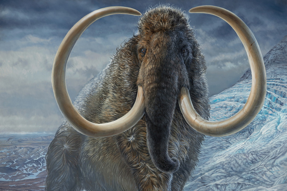 On the Woolly Mammoth Trail, 17,000 years ago

