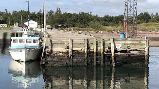 Rehabilitation of the docks: the impatience of Pointe Verte fishermen

