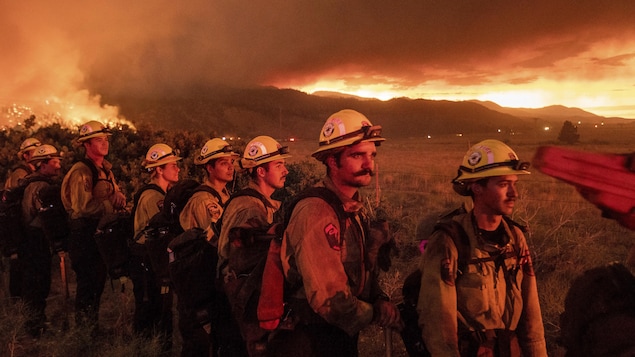 A documentary that explores the human responsibilities behind the California wildfires 

