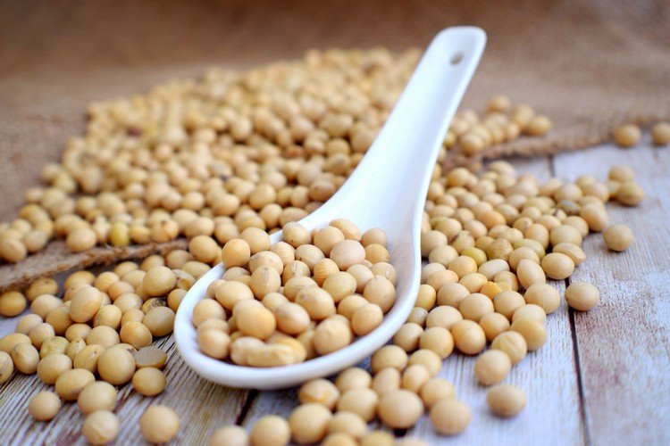 Hot flashes reduce elimination high-soy diet study