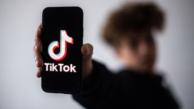 TikTok to launch contact option on its platform

