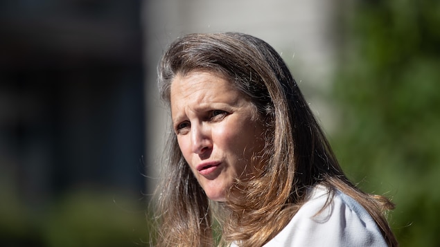   Twitter Adds Warning to Chrystia Freeland's Tweet |  Canada elections 2021

