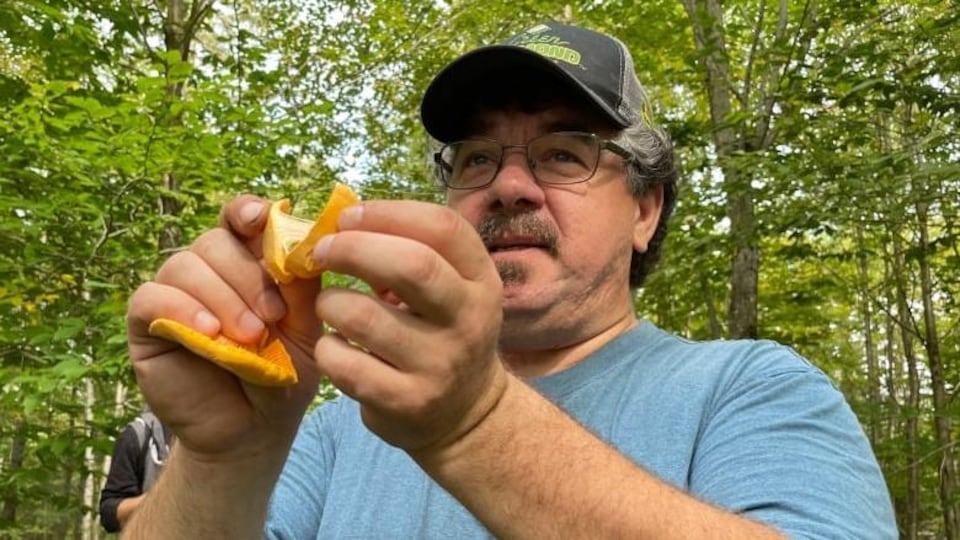 Ken Sanderson, a mushroom lover, holds a chanterelle in his hands.