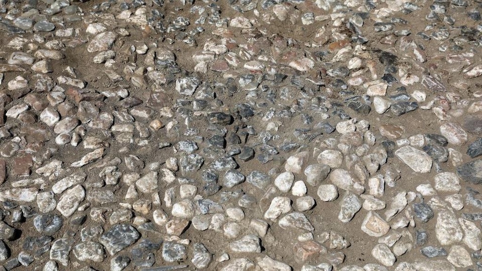 A group of stones embedded in the ground.