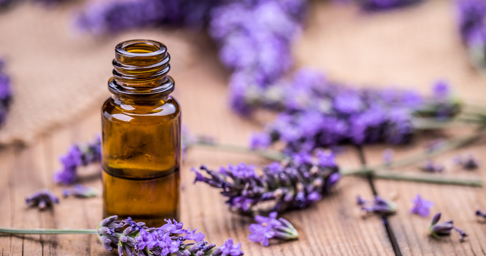 Does lavender oil cause disorders in the work of the endocrine glands?

