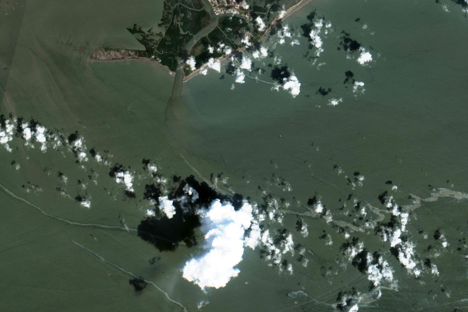 Oil pollution in the Gulf of Mexico after the Ida Pass

