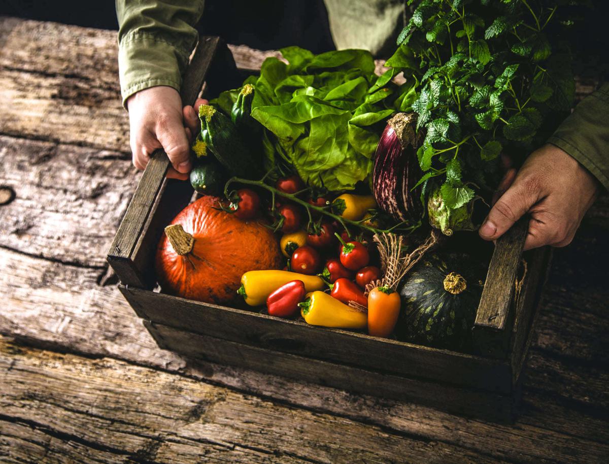 Why is organic food good for your health?

