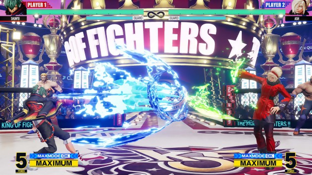 The fifteenth king of fighters