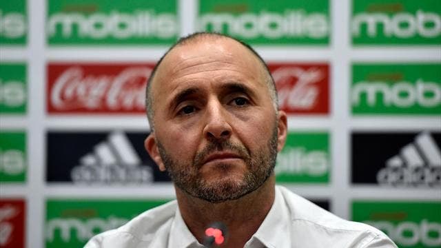 Belmadi is back on the charge

