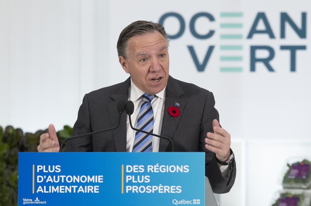 Quebec allocates $6.8 million for greenhouse vegetables in Belchas

