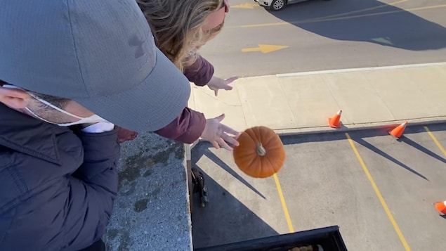 Community work for pumpkin compost in Winnipeg

