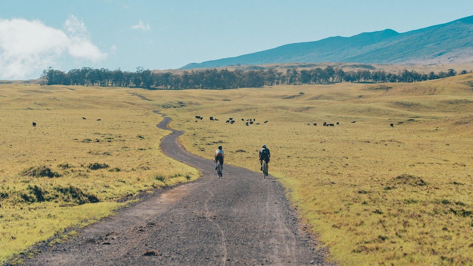 Cyclists on a plain bordered by mountains.