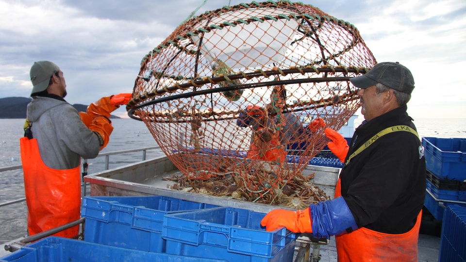 Two fishermen return a lobster net on a boat.