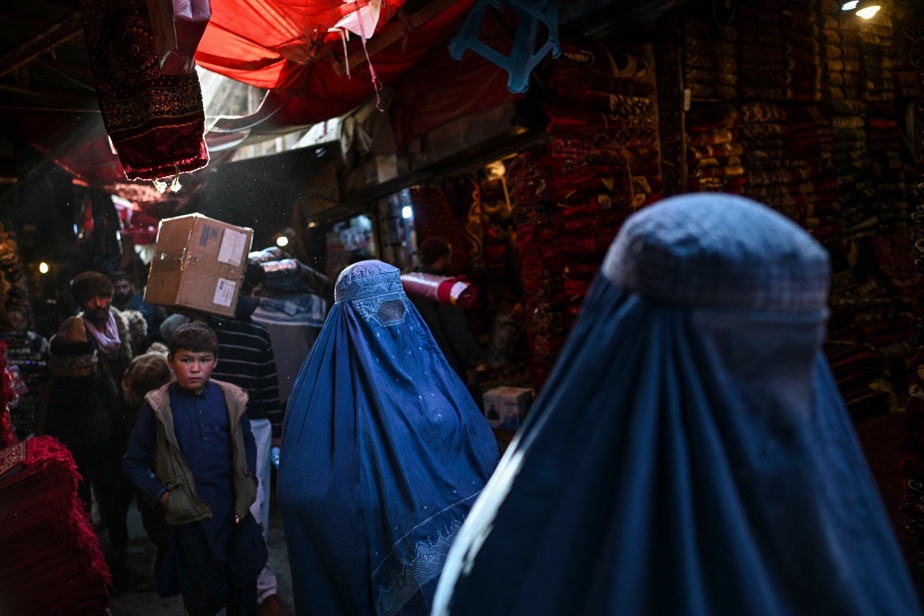   Afghanistan |  Taliban calls for halting TV shows with women

