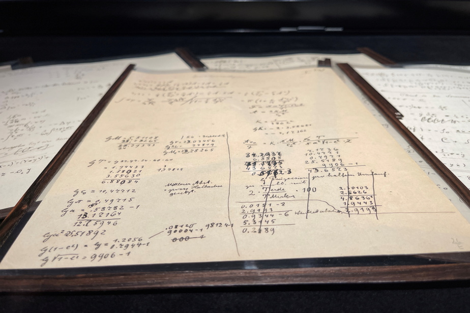 Einstein manuscript breaks records at auction


