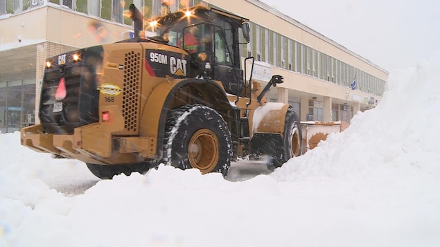 Equip the shovels and shovels: Snow is coming!

