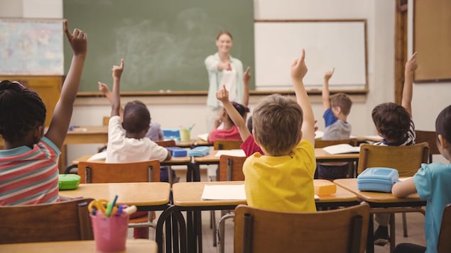 Alberta partially delays controversial curriculum reform

