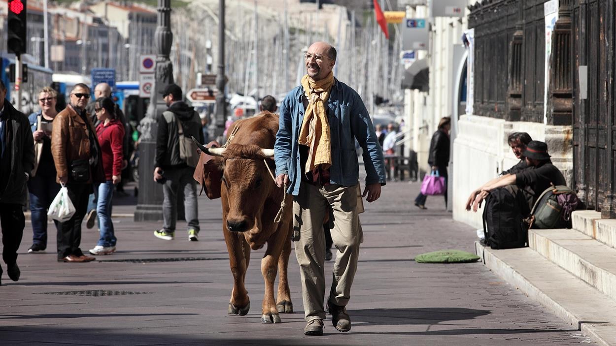 In the middle of the street, a man is walking holding his cow by a rope.