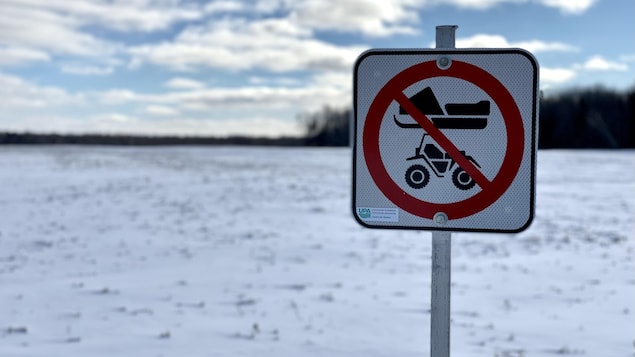 Farmland: Snowmobiles are invited to stay on the tracks

