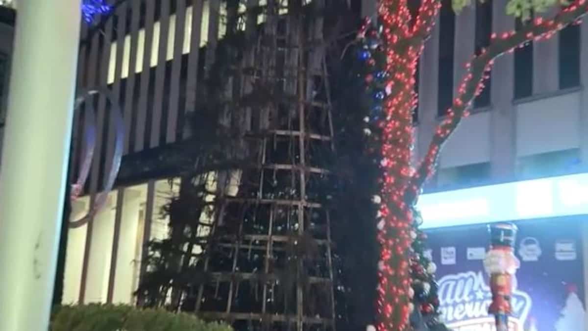 New York man arrested over giant Fox News Christmas tree fire

