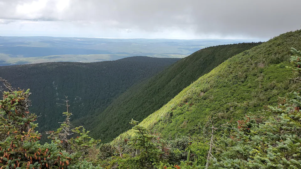A view from the top of Mont Blanc, in Mataney Wildlife Sanctuary, an area that the Mont Blanc Chic Choux Conservation Commission wants Gaspey to become a protected area.