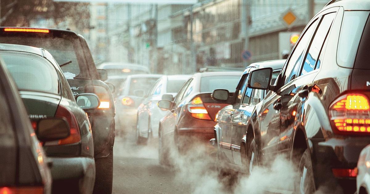 How does air pollution affect brain function?

