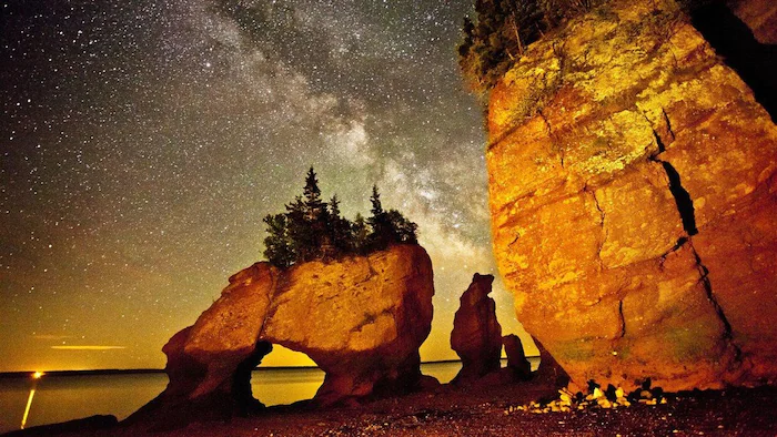 Rock formations covered with trees and plants overlooking a beach under a starry sky.