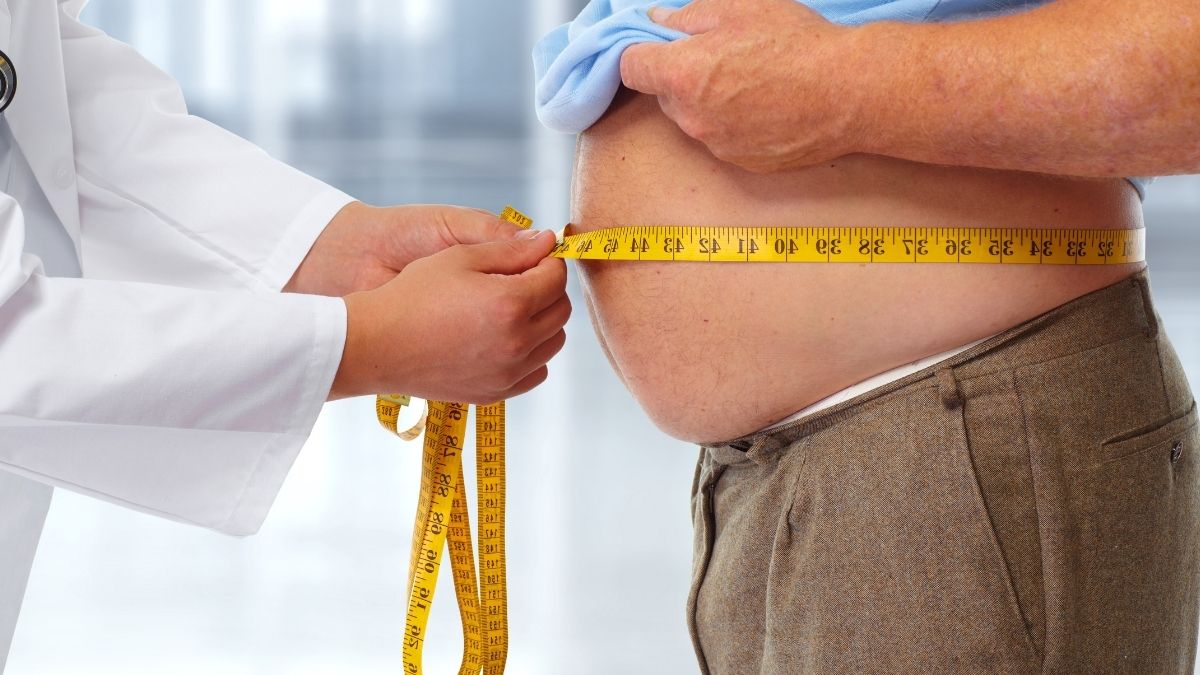 A study proves that the brain is responsible for obesity

