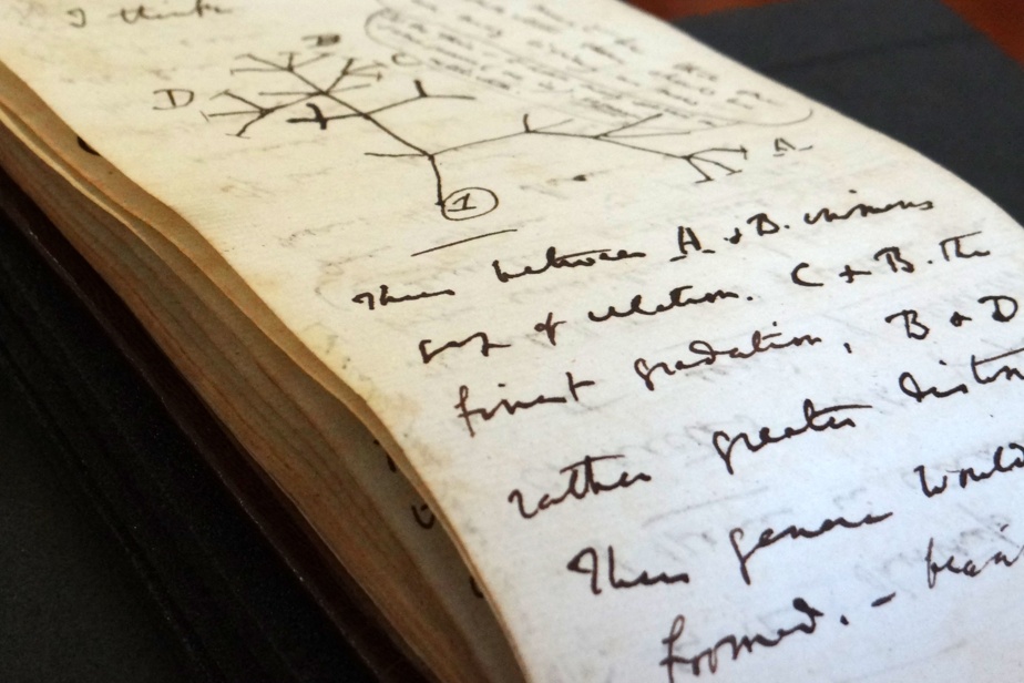 After 20 years of disappearance, two of Darwin's notebooks have returned to Cambridge

