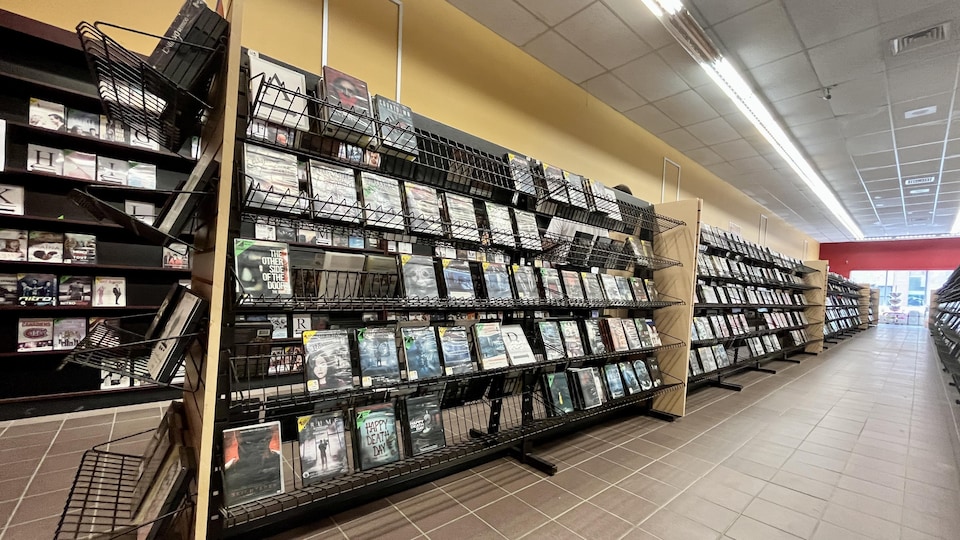 Rows of DVDs for rent in a video store.