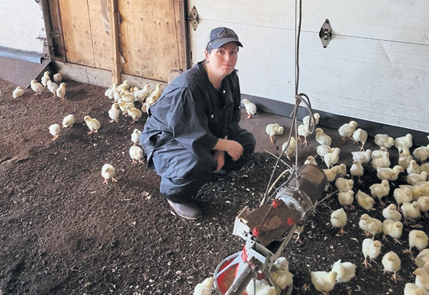 Avian influenza: a much needed help plan for small farms

