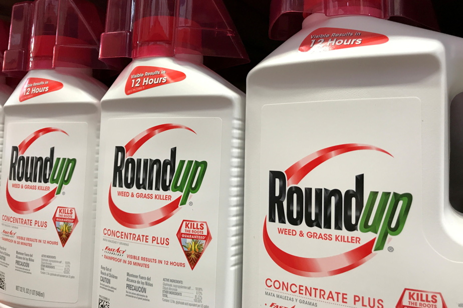  glyphosate |  Bayer suffers legal setback, procedure loses more than 6%

